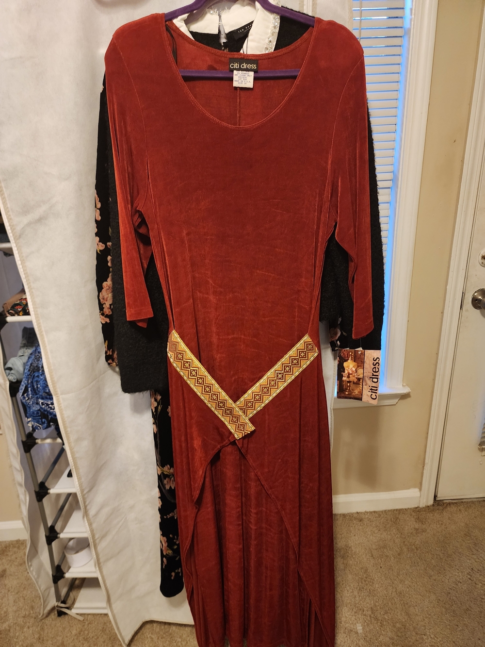 Citi Dress Rust Velvet Maxi with Embroidered Waist Detail